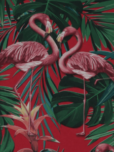 Obscured Flamingos Wallpaper